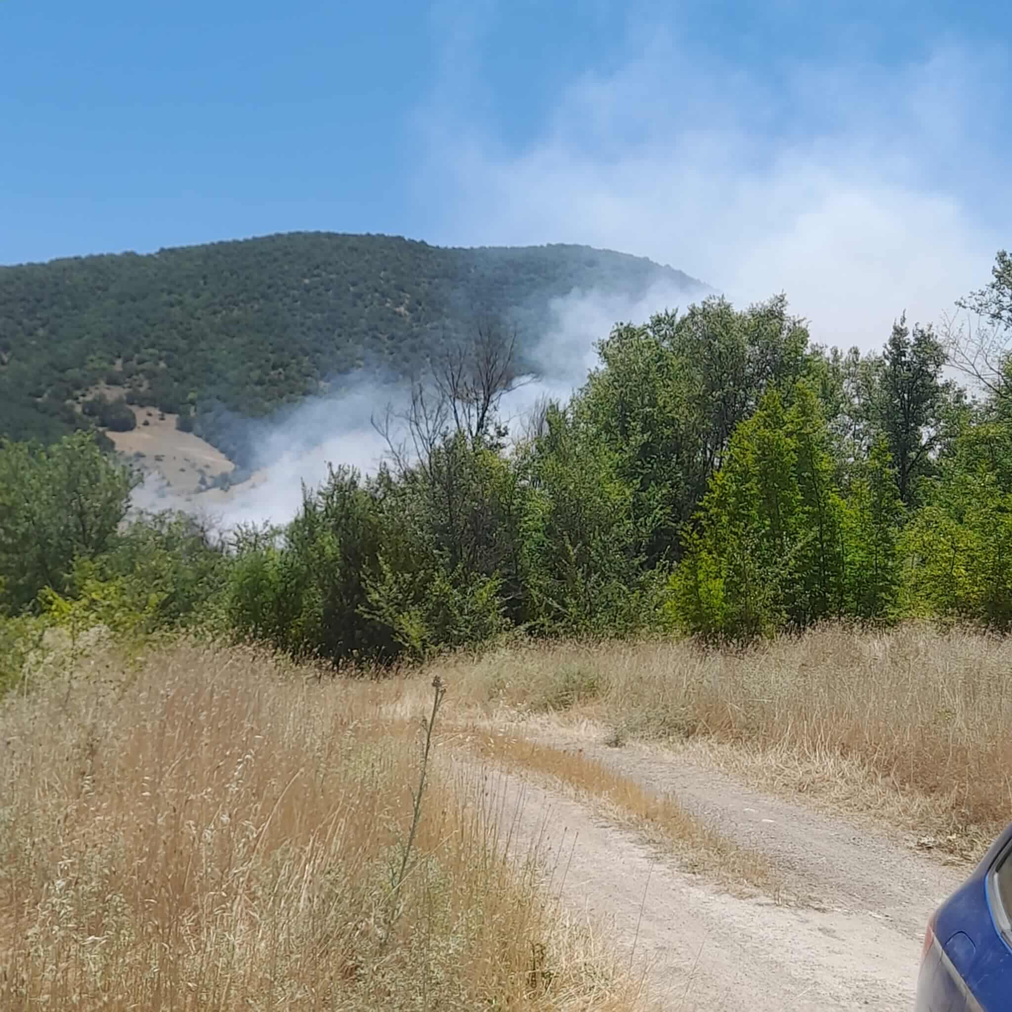 Κοζάνη: Φωτιά στην Παναγία Δρεπάνου