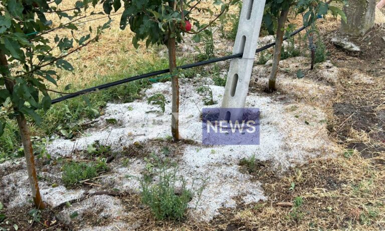Καταστροφές στις μηλοκαλλιέργειες του Τοιχιού και του Κεφαλαρίου από την σφοδρή χαλαζόπτωση