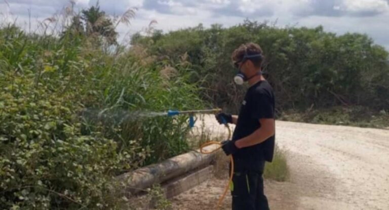 Δήμος Λαρισαίων: Συνεχίζονται οι έλεγχοι για την καταπολέμηση των κουνουπιών