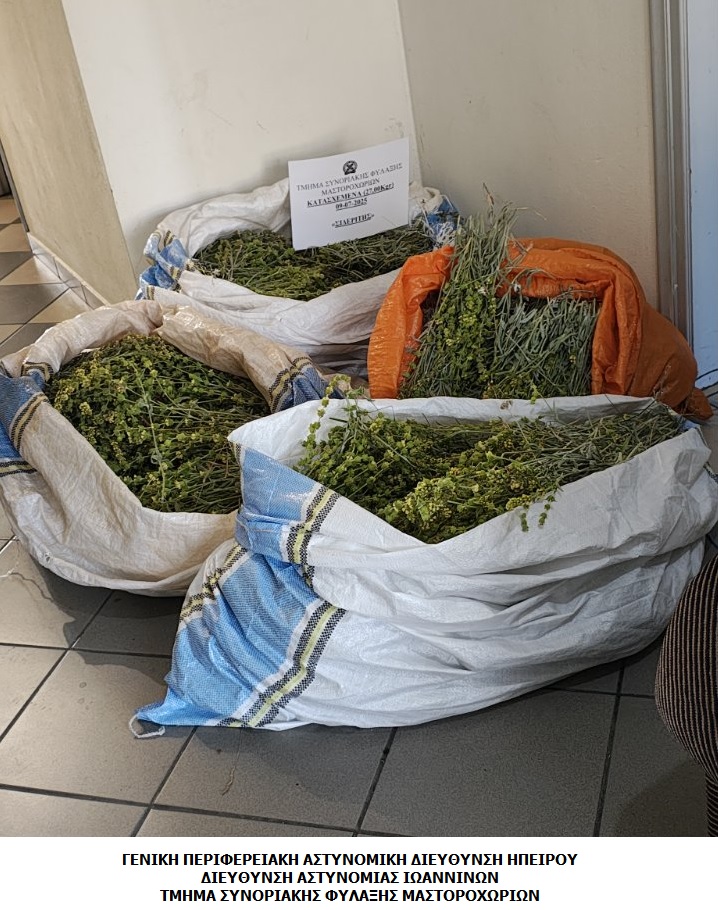 Κόνιτσα: Νέα σύλληψη αλλοδαπού για παράνομη συλλογή αρωματικού φαρμακευτικού φυτού
