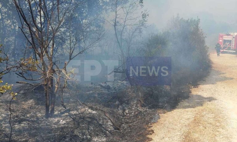 Κέρκυρα: Υπό έλεγχο η φωτιά στους Αγραφούς – Τρυματίστηκε πυροσβέστης