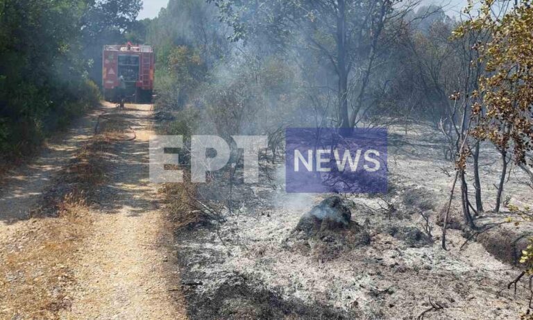 Κέρκυρα: Πυρκαγιά στους Αγραφούς