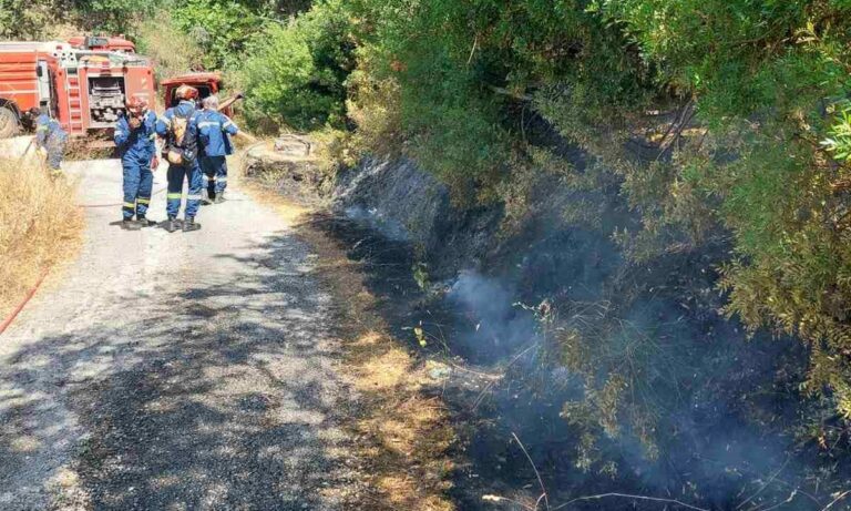 Φωτιά σε ξερά χόρτα στην Αχαράβη Κέρκυρας – Αντιμετωπίστηκε άμεσα