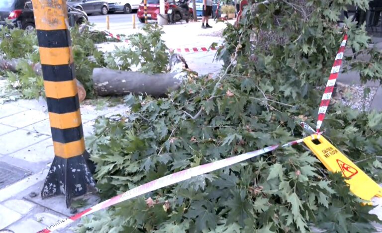 Θεσσαλονίκη: Πτώση κλαδιού προκάλεσε πολύωρη διακοπή ρεύματος