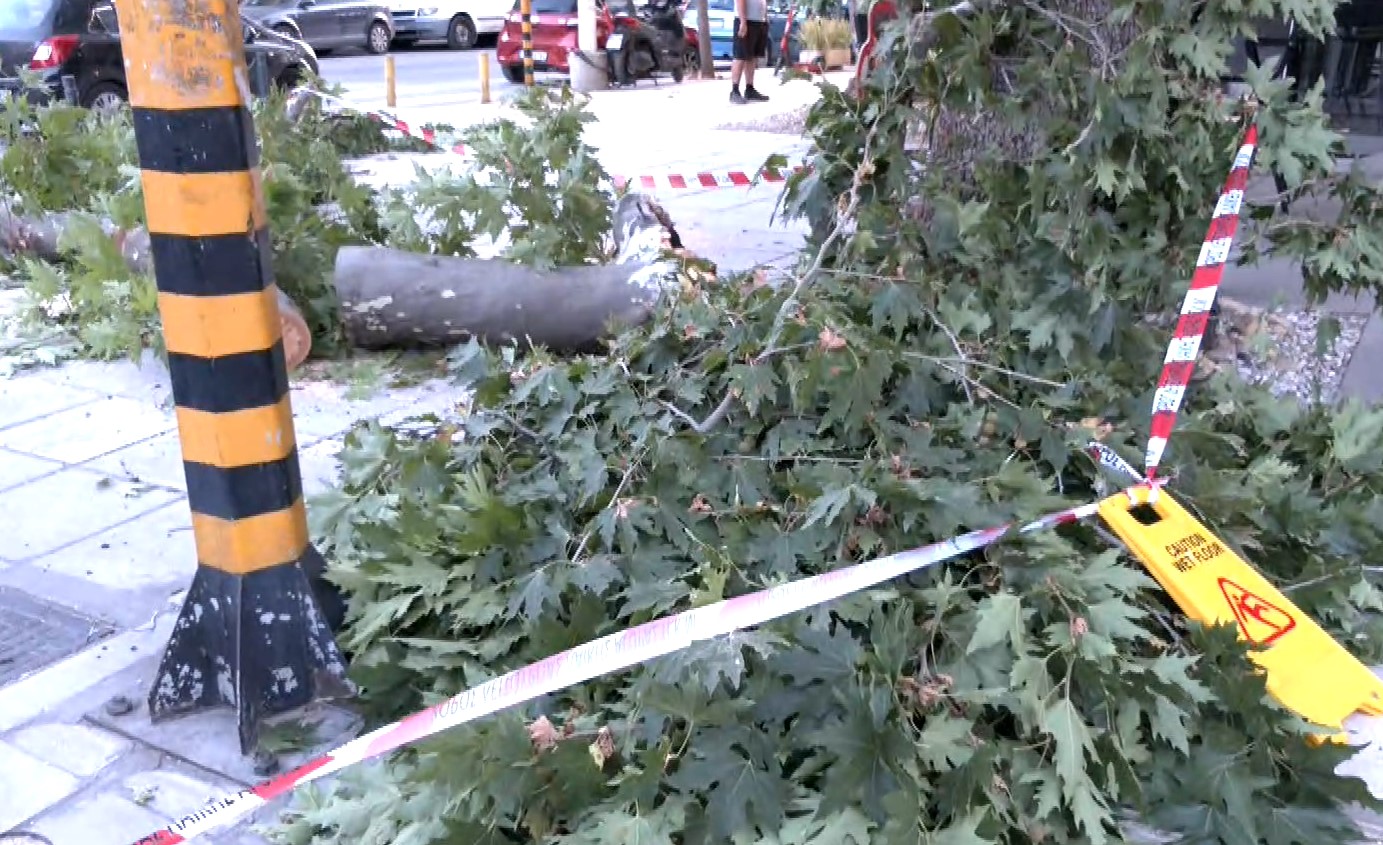 Θεσσαλονίκη: Πτώση κλαδιού προκάλεσε πολύωρη διακοπή ρεύματος