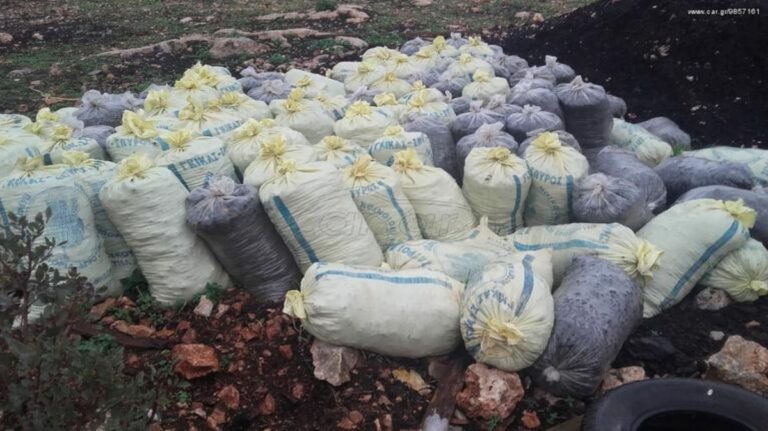 Σύλληψη άνδρα στον Βόλο για  παράβαση υγειονομικών μέτρων