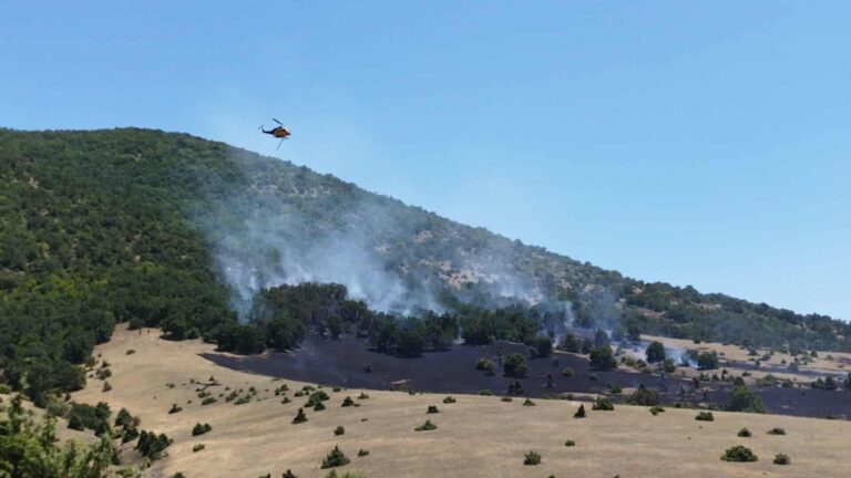 Κοζάνη: Υψηλό πρόστιμο και ποινή φυλάκισης 10 μηνών με αναστολή στον 75χρονο για την φωτιά στο Δρέπανο