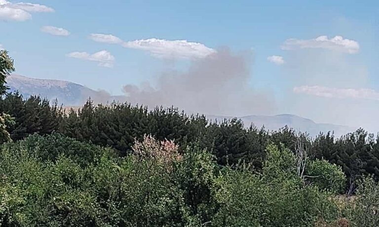 Υπό έλεγχο η πυρκαγιά στην Εράτυρα Κοζάνης – Φωτιά και στα Κοίλα (βίντεο)