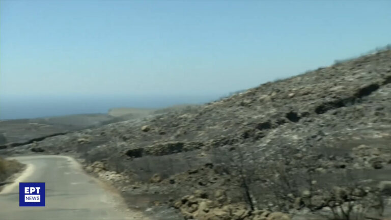 Κύθηρα: Οδοιπορικό του ΕΡΤNews στα καμένα, τεράστια η οικολογική κατασκευή – Συνάντηση Μητσοτάκη με το δήμαρχο του νησιού