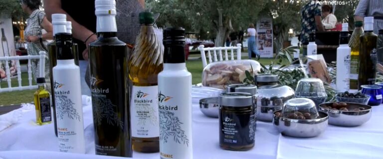 6ο Lesvos Food Fest- Το πιο γευστικό φεστιβάλ της Λέσβου ξεκίνησε