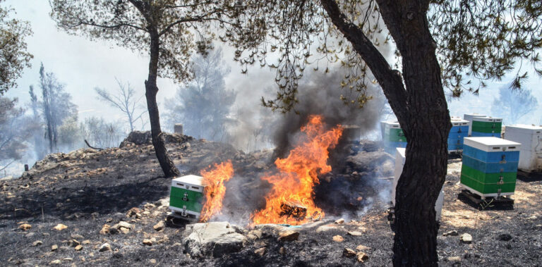 Μαγνησία: Ενημέρωση προς αγρότες, κτηνοτρόφους και μελισσοκόμους για την πρόληψη πυρκαγιών κατά την περίοδο υψηλών θερμοκρασιών