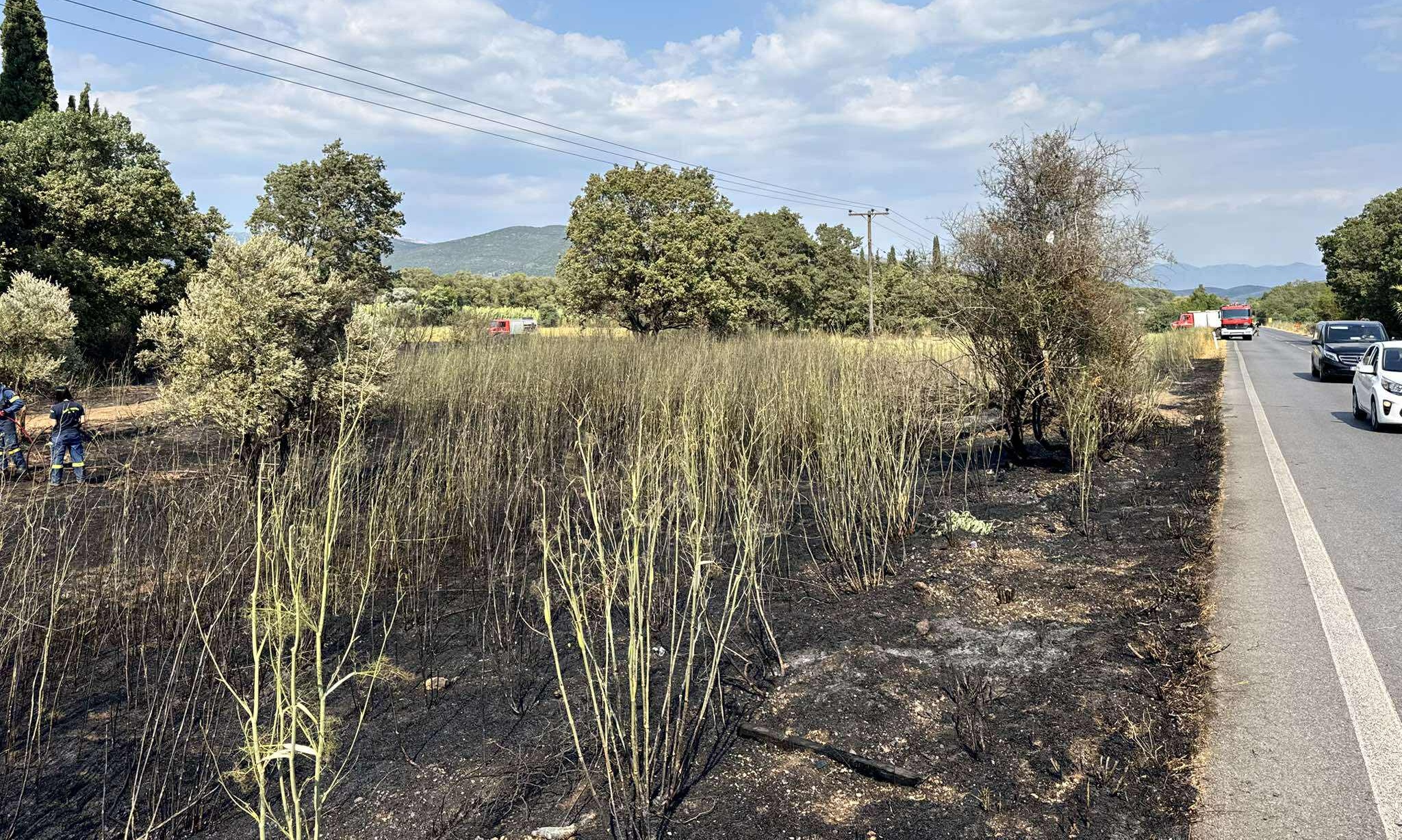 Μεσσηνία: Φωτιά σε αγροτοδασική έκταση στο Κοπανάκι Τριφυλίας – Τέθηκε υπό έλεγχο