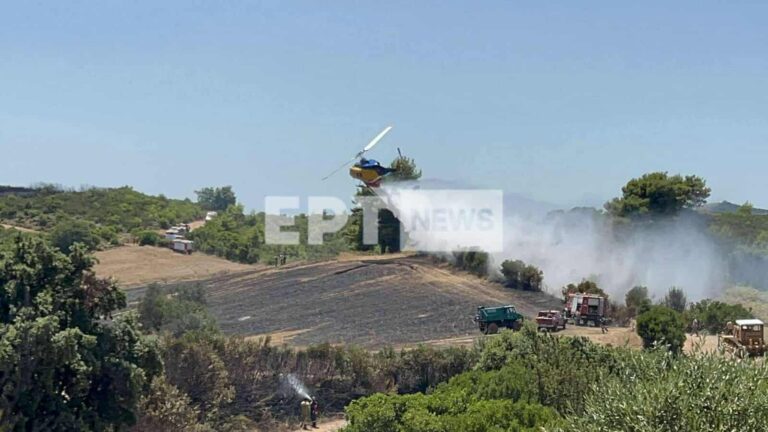 Υπό έλεγχο η πυρκαγιά στην Κάμενα Ολυμπίας