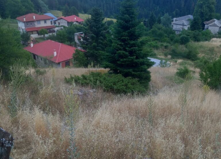 Τα ακαθάριστα οικόπεδα παραμένουν πρόβλημα στο Περτούλι