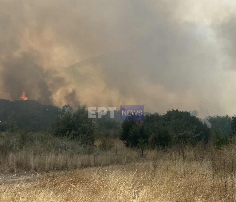 Υπό μερικό έλεγχο η πυρκαγιά στην Παραμυθιά Θεσπρωτίας – Είχε φτάσει έως την αυλή ξενοδοχείου