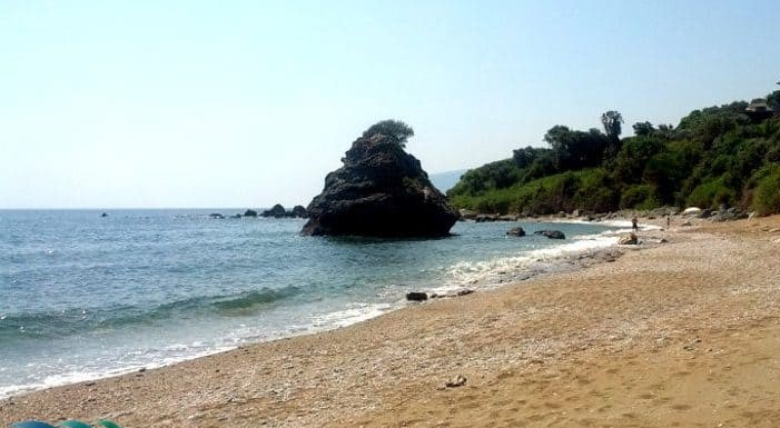 Τα “μυστικά” της Παραλίας Πολυδενδρίου στον Δήμο Αγιάς που θα “μαγέψουν” τους επισκέπτες
