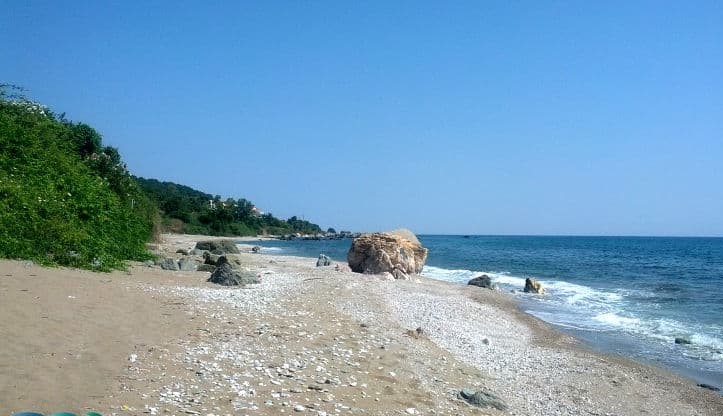Τα “μυστικά” της Παραλίας Πολυδενδρίου στον Δήμο Αγιάς που θα “μαγέψουν” τους επισκέπτες