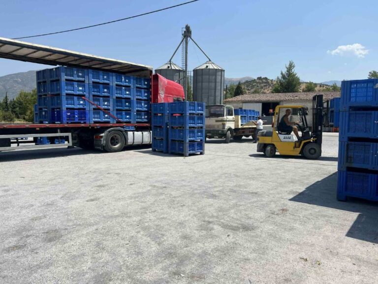 Διαμαρτυρίες για χαμηλές τιμές στα ροδάκινα απο παραγωγούς του Μακρυχωρίου