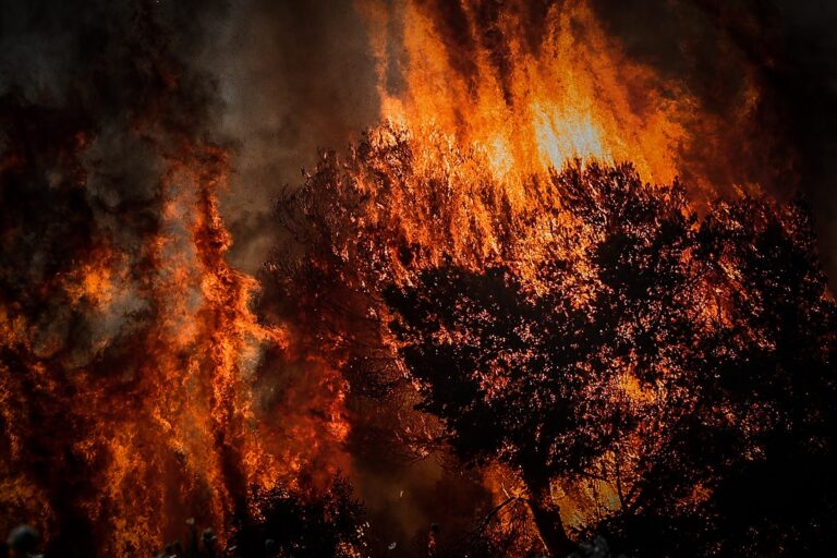 Θ. Γιάνναρος (πυρομετεωρολόγος) στο Πρώτο για πυρκαγιές και καύσωνες: Δεν είναι μακριά τα χρόνια που δεν θα είμαστε τόσο θελκτικός τουριστικός προορισμός (audio)