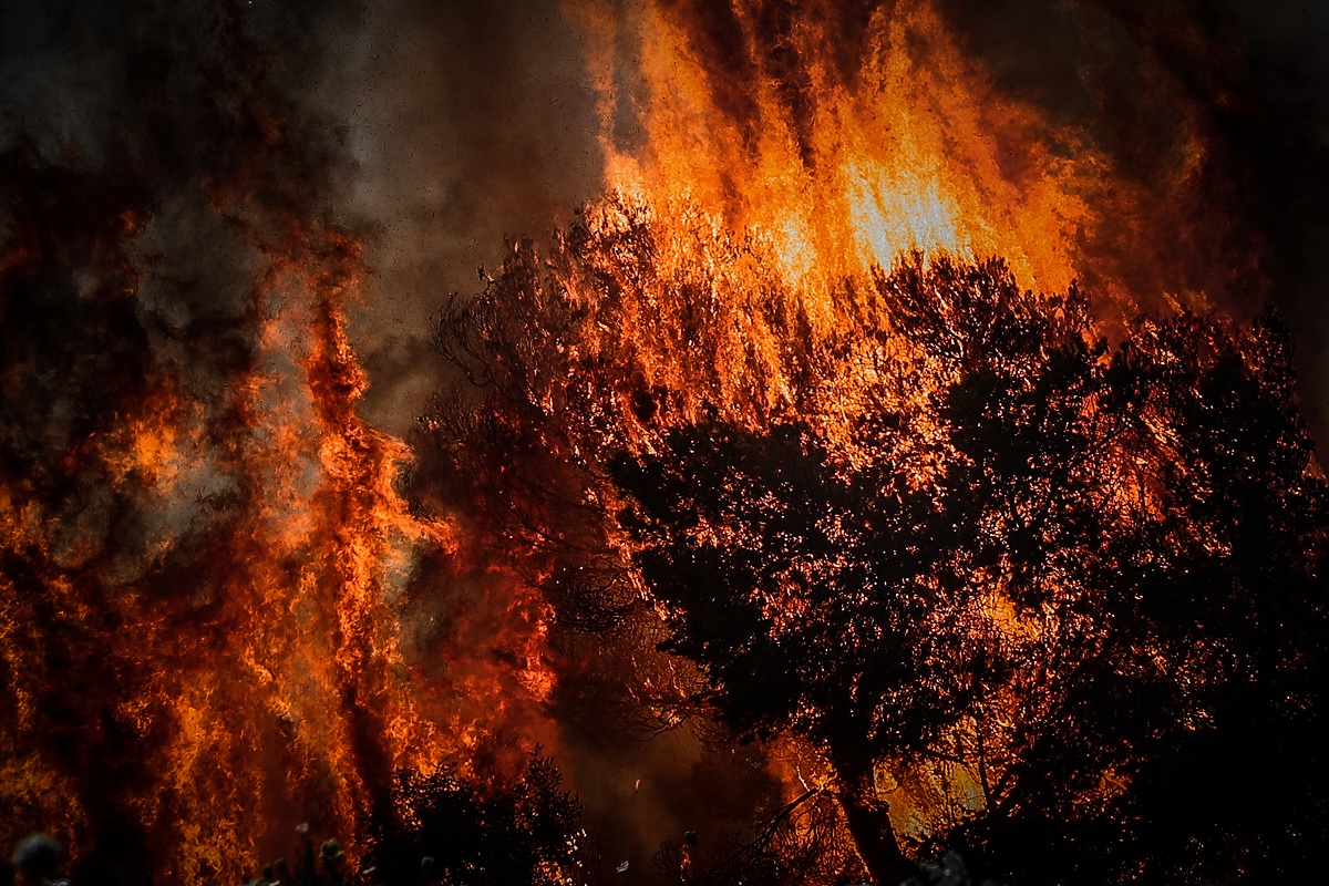 Υψηλός κίνδυνος πυρκαγιάς την Τετάρτη στην Ήπειρο