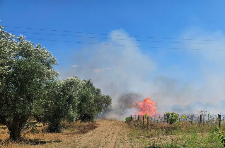 Πυρκαγιά έκαψε 4 στρέμματα αγροτικής γης στον Καρδαμά Αμαλιάδας