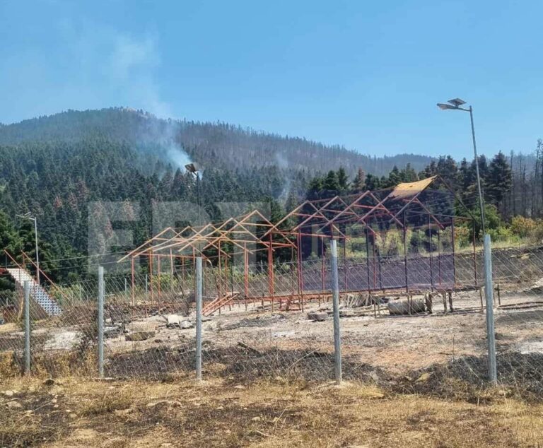Τρίπολη: Φωτογραφία – ντοκουμέντο από το σημείο έναρξης της πυρκαγιάς στον Φενεό – Έφτιαχναν κατασκευές για rave party