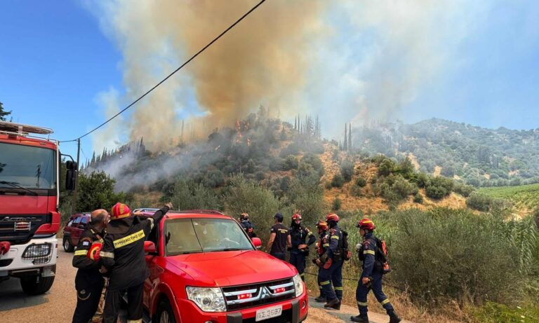 Κ. Συνολάκης στο ΕΡΤΝews: Να μάθουμε να ζούμε με τις πυρκαγιές – Χρειάζεται τοπική οργάνωση με εθελοντές