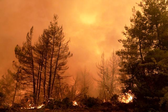 Υψηλός κίνδυνος πυρκαγιάς στη Ροδόπη την Πέμπτη 10 Ιουλίου