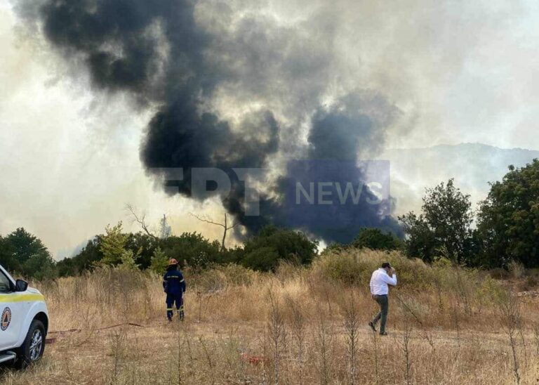 Πυρκαγιά τώρα στη Θεσπρωτία – Εκκενώνονται Γαρδίκι, Σκάνδαλο και Μανδρότοπος (βίντεο)