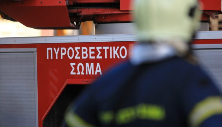 Θεσσαλονίκη: Φωτιά στην Αρέθουσα του δήμου Βόλβης – Επιχειρούν επίγειες και εναέριες δυνάμεις