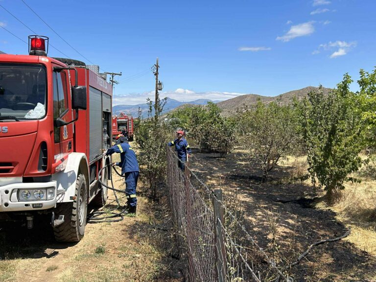 Άμεση επέμβαση της Πυροσβεστικής σε πυρκαγιά σε κτήμα με καρυδιές μεταξύ Άργους Ορεστικού και Χιλιοδένδρου