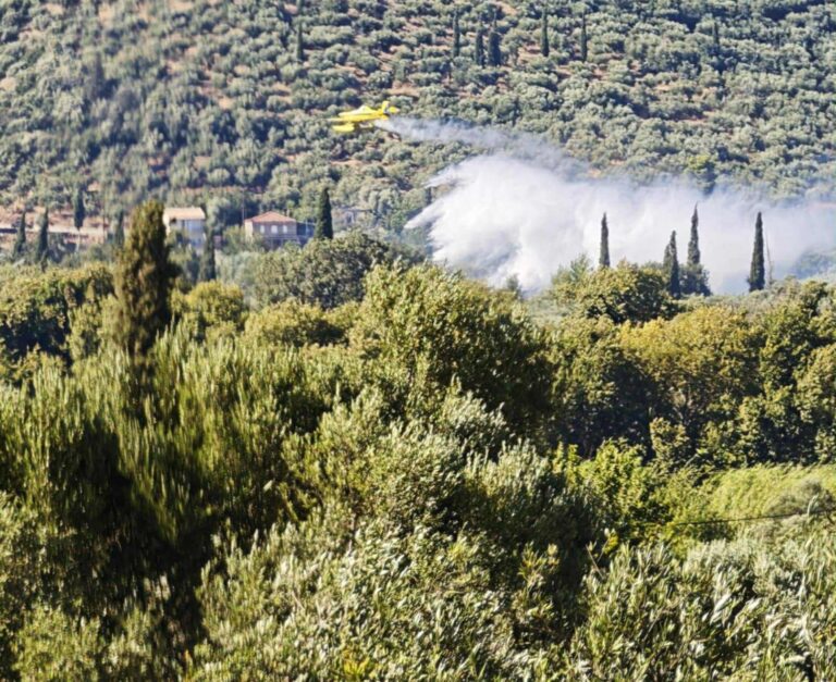 Υπό έλεγχο η φωτιά στο Αγριλόβουνο Οιχαλίας στη Μεσσηνία