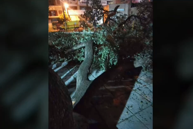 Θεσσαλονίκη: Δύο γυναίκες τραυματίστηκαν από πτώση κλαδιού σε πάρκο στο Κορδελιό