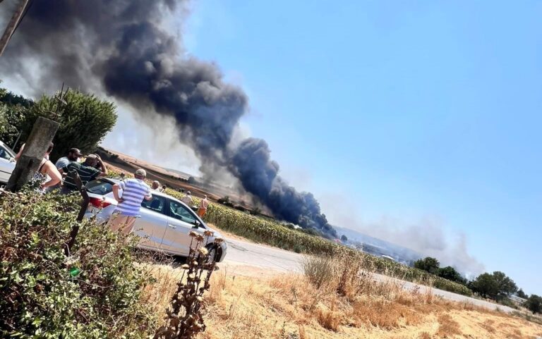 Ροδόπη: Πυρκαγιά σε χαμηλή βλάστηση στο Μικρό Πιστό – Αντιμετωπίστηκε άμεσα