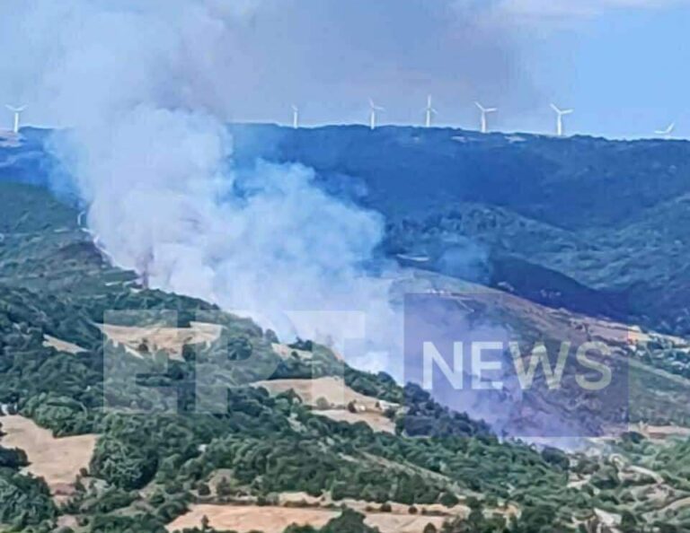 Πυρκαγιά σε δασική έκταση στη Χλόη Ροδόπης – Εκκενώθηκε προληπτικά το χωριό – Επιχειρούν επίγειες και εναέριες δυνάμεις