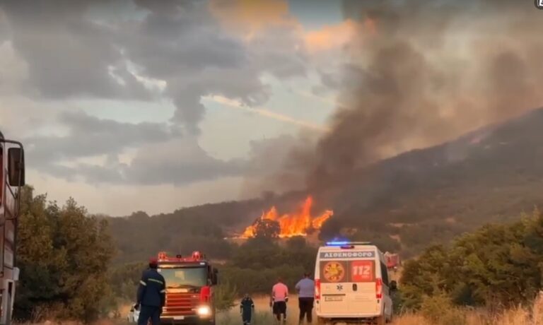 Θεσσαλονίκη- Π.Τσακίρης: «Φαίνεται ότι έχει οριοθετηθεί το μέτωπο στο Μεσαίο»
