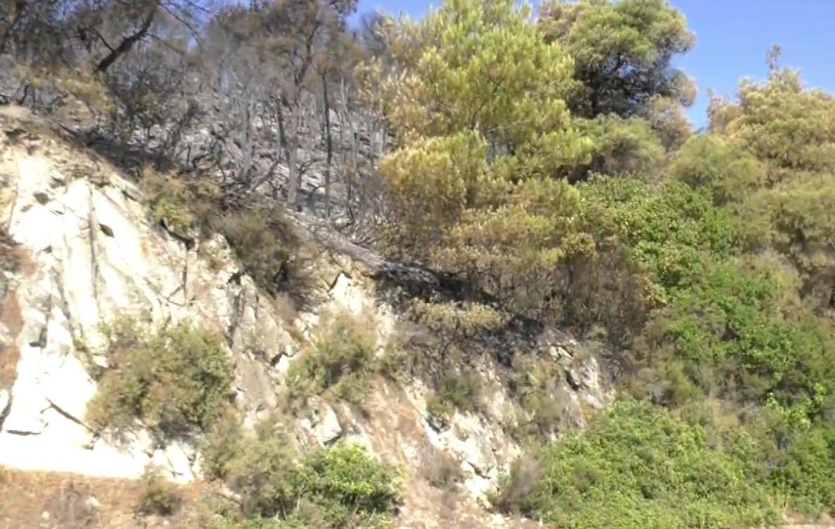 Χαλκιδική: «Μάτια» προστασίας των δασών τα drones- Επιτηρούσαν και μετέδιδαν εικόνες κρίσιμες για την επιχείρηση κατάσβεσης φωτιάς στη Βουρβουρού