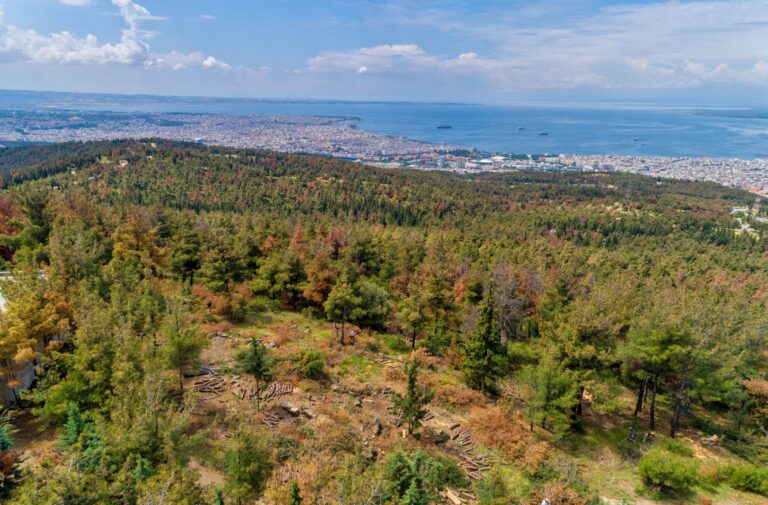 Απαγόρευση διέλευσης, παραμονής και κυκλοφορίας πεζών και οχημάτων σε δάση και ευπαθείς περιοχές σε Θεσσαλονίκη και Κιλκίς