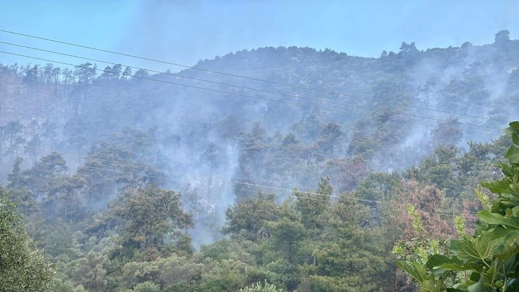 Σε εξέλιξη αλλά βελτιωμένη η εικόνα της φωτιάς στη Θάσο- Εκκενώθηκε ξενοδοχείο για προληπτικούς λόγους