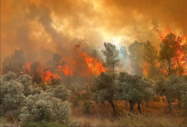 Τουρκία: Δέκα δασεργάτες σκοτώθηκαν σε πυρκαγιά στο Εσκίσεχιρ