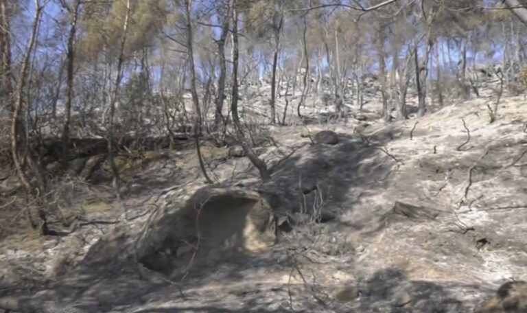 Σύλληψη ενός ατόμου για τη φωτιά στη Βουρβουρού Χαλκιδικής