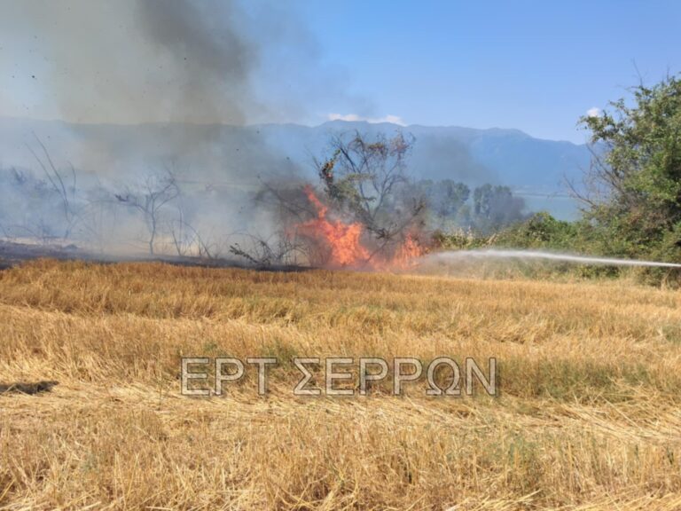 Σέρρες: Πυρκαγιά σε Ι.Χ. κοντά στη λίμνη Κερκίνη απείλησε δασική έκταση (βίντεο)
