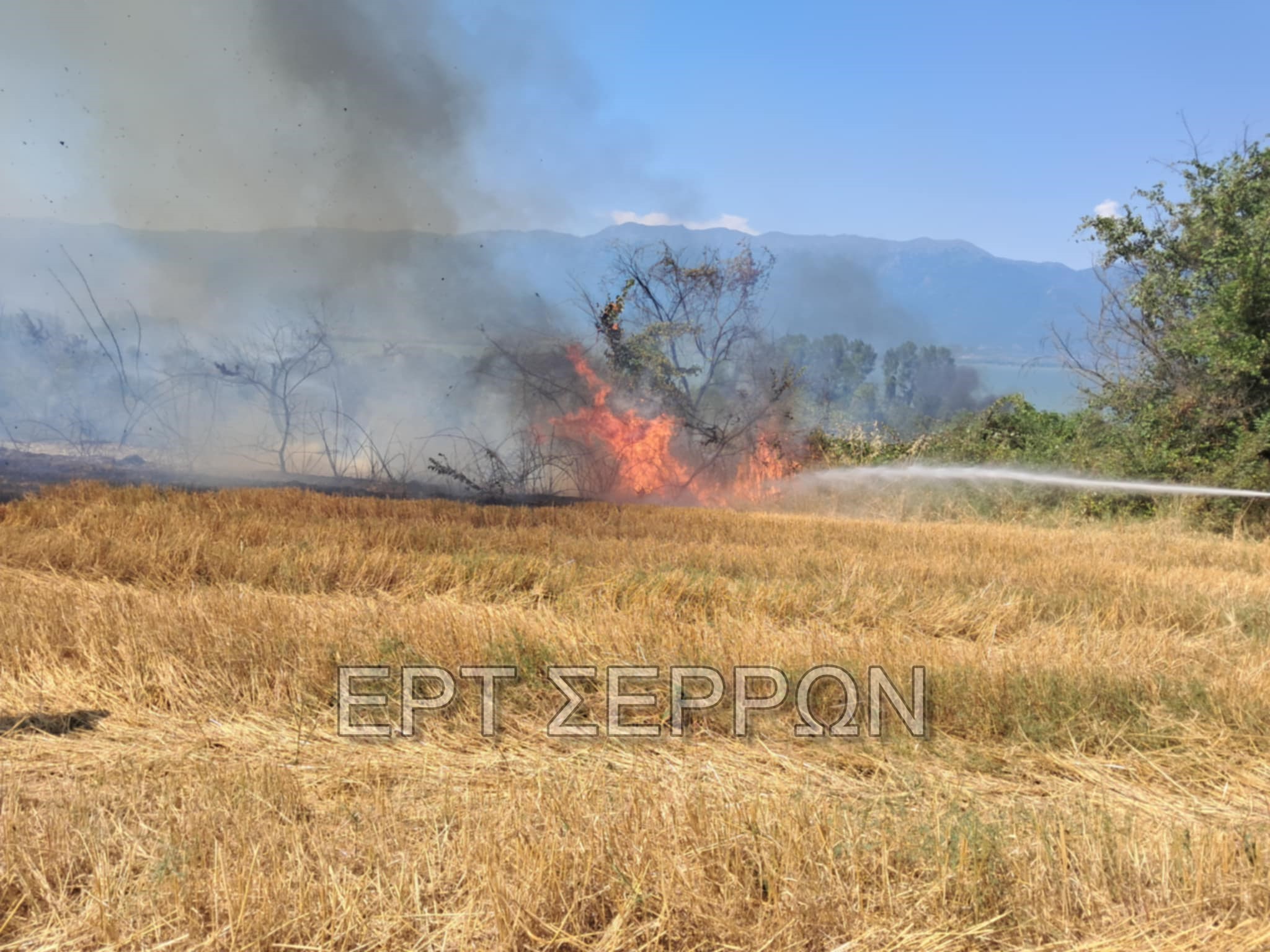 Σέρρες: Πυρκαγιά σε Ι.Χ. κοντά στη λίμνη Κερκίνη απείλησε δασική έκταση (βίντεο)