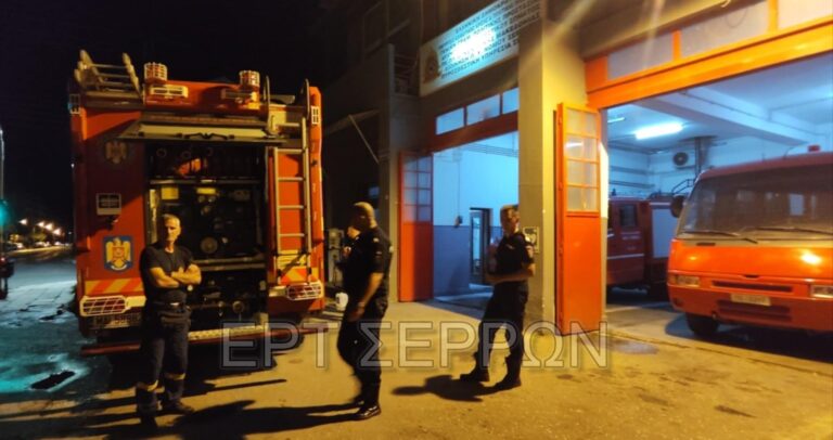 Σέρρες: Έφτασαν από τον Προμαχώνα Ρουμάνοι πυροσβέστες για να συνδράμουν στην κατάσβεση των πυρκαγιών