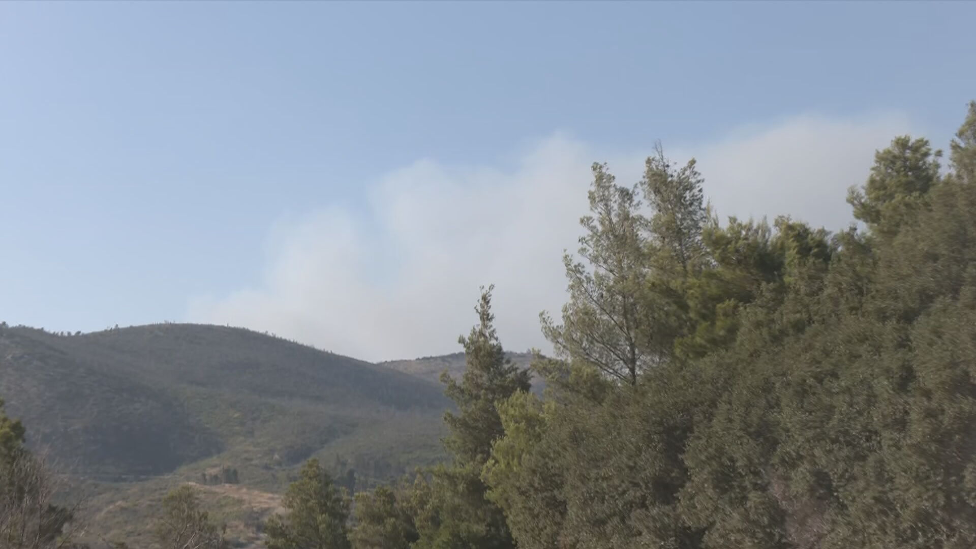 Φωτιά τώρα στον Ωρωπό – Επιχειρούν 13 πυροσβεστικά αεροπλάνα και ισχυρές επίγειες δυνάμεις – Μήνυμα 112 για προληπτική εκκένωση
