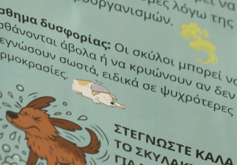 Αλεξανδρούπολη: Το self service μπάνιο σκύλων κάνει παιχνιδάκι το λούσιμο των τετράποδων φίλων μας