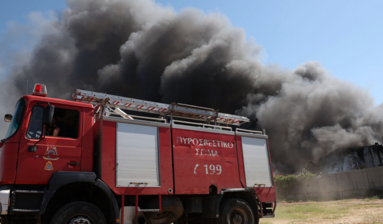 Θεσσαλονίκη: Καλύτερη η εικόνα στην Άσσηρο- Ένα μόνο πύρινο μέτωπο που καίει μέσα σε χαράδρα