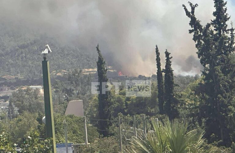 Φωτιά στην Πολυτεχνειούπολη – Αποφεύχθηκαν τα χειρότερα – Υπό έλεγχο το μέτωπο μέσα σε 20 λεπτά