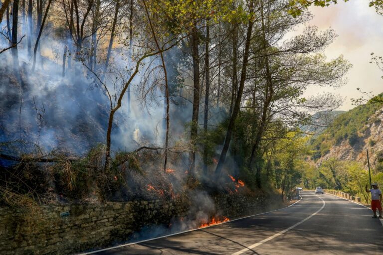 Εκτός ελέγχου οι φωτιές στην Αλβανία – Απειλούνται εγκαταστάσεις υγραερίου, εκκενώθηκε νοσοκομείο στο Δέλβινο