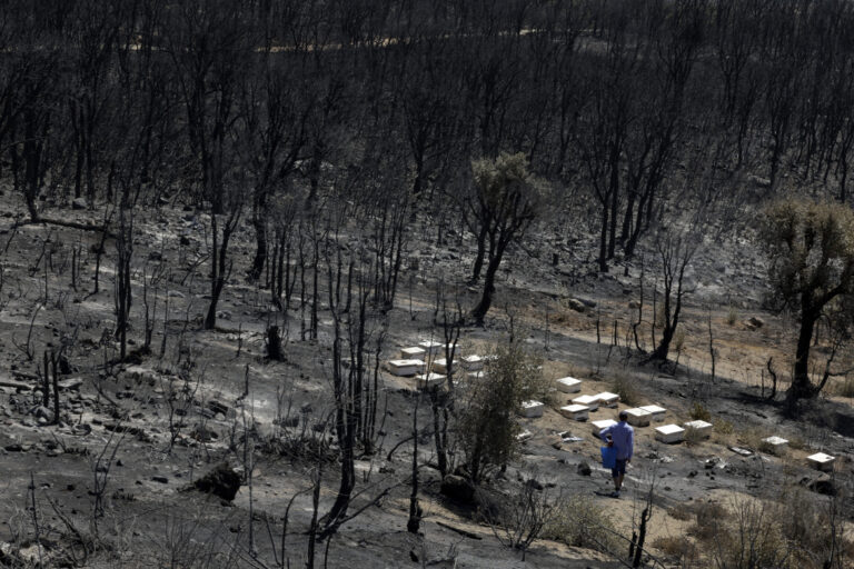 Οριοθετήθηκε η μεγάλη δασική πυρκαγιά στο βόρειο Μαρόκο – Στάχτη 5.000 στρέμματα